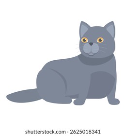 Grey british shorthair cat with yellow eyes sitting on the floor