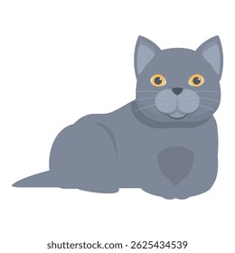 Grey british shorthair cat with yellow eyes relaxing on white background