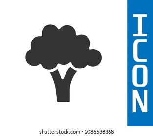 Grey Broccoli icon isolated on white background.  Vector