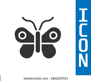 Grey Butterfly icon isolated on white background.  Vector