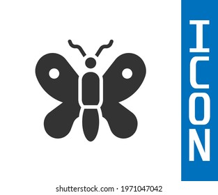 Grey Butterfly icon isolated on white background.  Vector