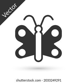 Grey Butterfly icon isolated on white background.  Vector