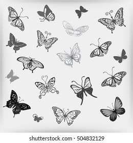 Grey butterfly logo set, vector illustration isolated on background