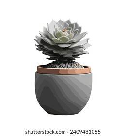Grey Cactus flower with porcelain pot 