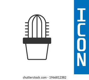 Grey Cactus peyote in pot icon isolated on white background. Plant growing in a pot. Potted plant sign.  Vector