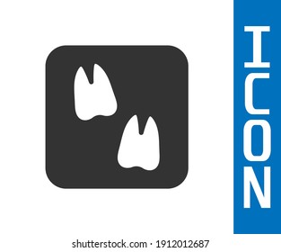 Grey Camel paw footprint icon isolated on white background.  Vector