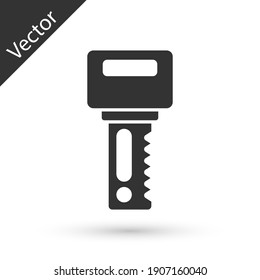 Grey Car key with remote icon isolated on white background. Car key and alarm system. Vector.
