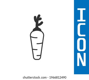 Grey Carrot icon isolated Grey background.  Vector