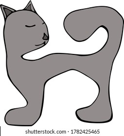 Grey cat with a big tail
