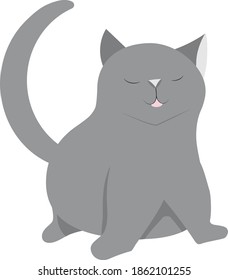 a grey cat with closed eyes