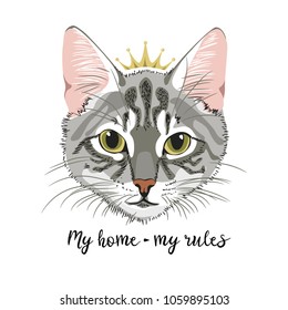 Grey Cat with crown princess queen my home my rules