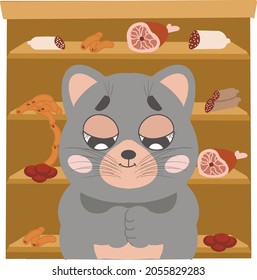 Grey cat with different meat 