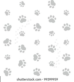 grey cat footprints on white background