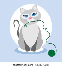 grey cat holds yarn in its teeth. Cat and ball of yarn. Cat playing with a ball. Vector illustration of a cat with blue eyes.
