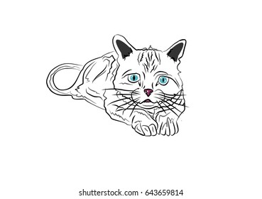 Grey cat Icon