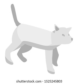 Grey cat icon. Isometric of grey cat vector icon for web design isolated on white background