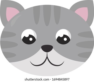 Cut Glue Worksheet Make Mask Raccoon Stock Vector (Royalty Free ...