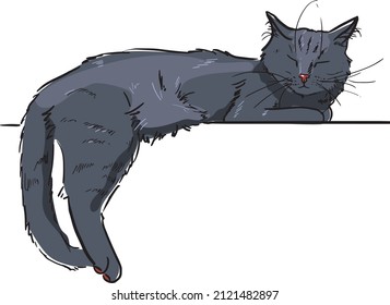 Grey cat laying on a surface