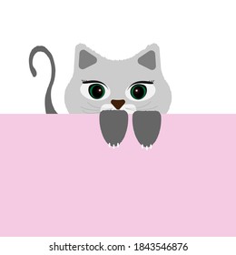 grey cat looks up from below, holding on with its paws. Cute friendly animal, playful pet. Vector illustration