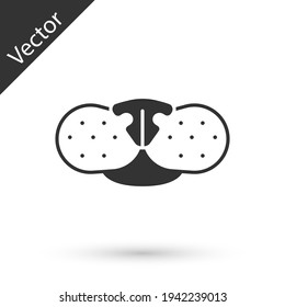 Grey Cat nose icon isolated on white background. Vector