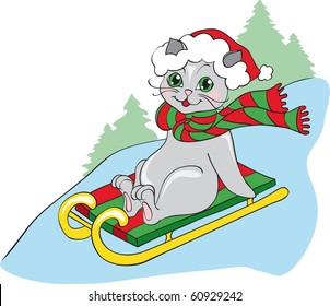 grey cat on sledge
