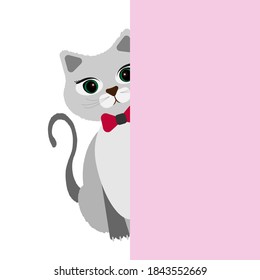 grey cat peeks out from behind the wall. Vector illustration. Cute friendly animal, playful pet with butterfly on its neck, bow on its neck.