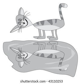 Grey cat and reflexion in a pool