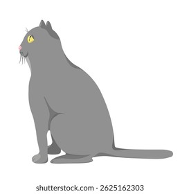 A grey cat sits isolated on a white background.Vector illustration of a pet.

