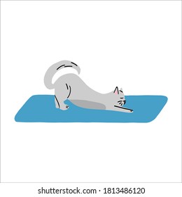 A grey cat streches on yoga carpet. vector handdrawn illustration.