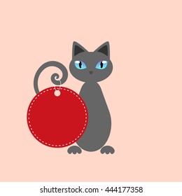 Grey cat with tag on a tail
