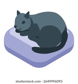 Gato cinzento tirando um cochilo deitado em um travesseiro, ilustração isométrica