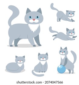 grey cat in various situations vector illustration of a pet set of icons on a white background
