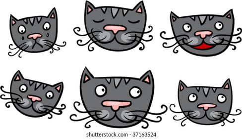 grey cats smileys