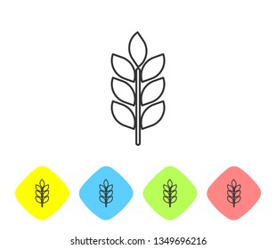 Grey Cereals icon set with rice, wheat, corn, oats, rye, barley line icon on white background. Ears of wheat bread. Agriculture wheat symbol. Set icon in color rhombus buttons. Vector Illustration