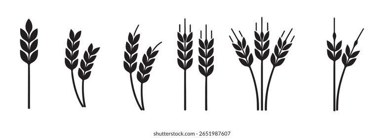 Grey Cereals icon set with rice, wheat, corn, oats, Vector farm wheat ears  Gluten free Wheat logo. Icon bakery. Spike . Bread grain