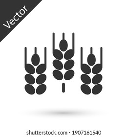 Graues Getreide mit Reis, Weizen, Mais, Hafer, Roggen, Gerste Symbol einzeln auf weißem Hintergrund. Ohren von Weizenbrotsymbolen. Vektorgrafik.