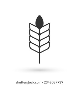Grey Cereals set with rice, wheat, corn, oats, rye, barley icon isolated on white background. Ears of wheat bread symbols.  Vector