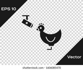 Grey Chicken farm and wireless Controlling CCTV security camera icon isolated on transparent background.  Vector Illustration