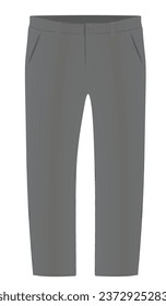 Grey  chino pants. vector illustration