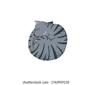 Grey color tabby funny cat sleeping curled up look like circle. Vector illustration in simple cartoon flat style. Isolated on white background.