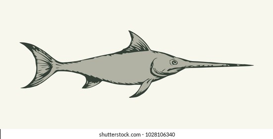 Grey color Xiphias broadbills tuna float on light backdrop. Freehand linear black ink hand drawn picture sketchy in art retro scribble style pen on paper. Closeup side view with space for text