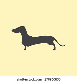 Grey colored silhouette of standing dachshund isolated on yellow background. Logo template, design element