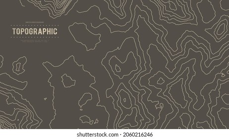 Grey contours vector topography. Geographic mountain topography vector illustration. Topographic pattern texture. Map on land vector terrain. Elevation graphic contour height lines. Topographic map