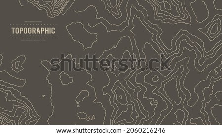Grey contours vector topography. Geographic mountain topography vector illustration. Topographic pattern texture. Map on land vector terrain. Elevation graphic contour height lines. Topographic map