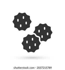 Grey Cookie or biscuit with chocolate icon isolated on white background.  Vector