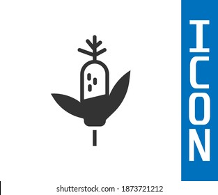 Grey Corn icon isolated on white background.  Vector