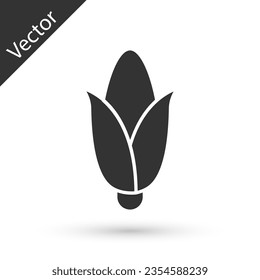 Grey Corn icon isolated on white background.  Vector