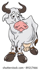 Grey cow vector illustration in the style of the cartoon.