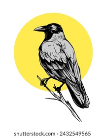 Grey crow, raven, bird, vector sketch illustration, hand drawn, black outline, engraving style