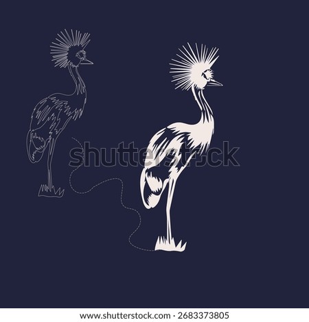  Grey Crowned Crane illustration, drawing, engraving, ink, line art, vector with blue background , vector file